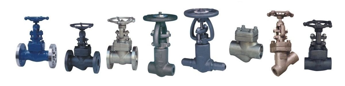 Forged Steel Valves